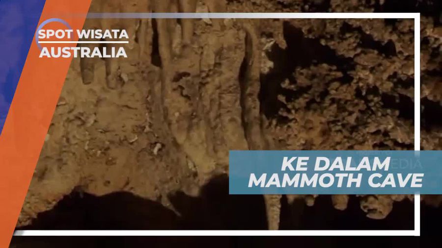 Masuk ke Dalam Mammoth Cave Australia