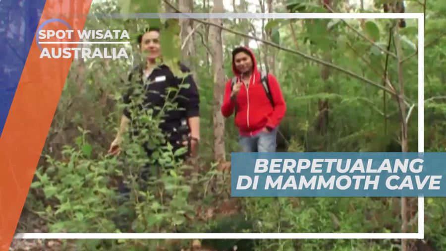 Terdapat Aneka Bunga Liar, Berpetualang di Mammoth Cave Australia