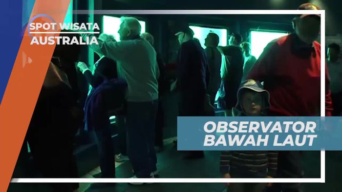 Menikmati Keindahan Bawah Laut di Observator Busselton Jetty Australia