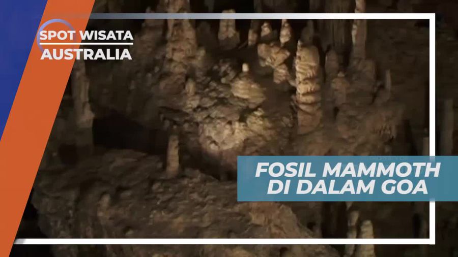 Melihat Dari Dekat Fosil Mammoth di Dalam Goa, Australia