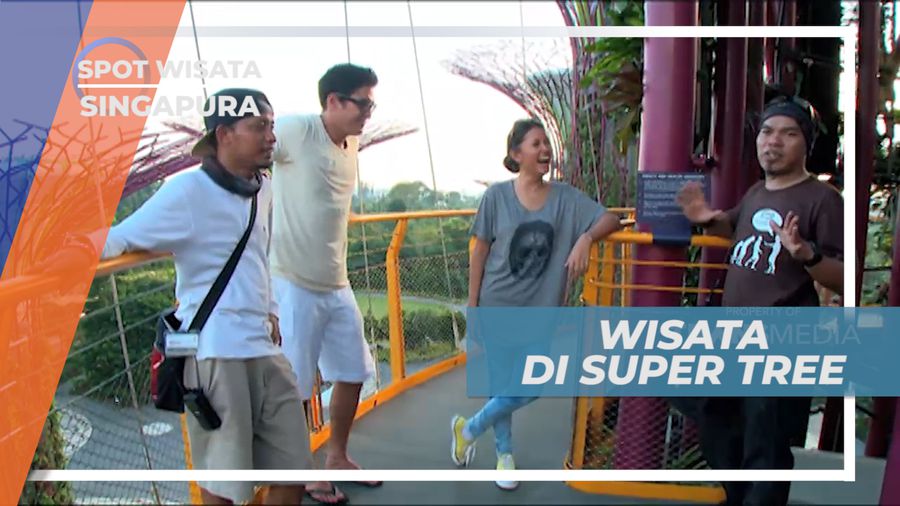 Super Tree, Mengunjungi Pohon Baja Raksasa di Tengah Kota, Singapura