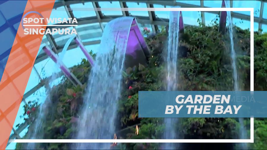 Menikmati Sejuknya Udara di Taman Konservasi di Jantung Kota, Singapura
