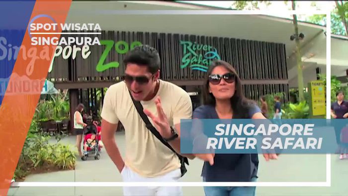Melihat Aneka Satwa di Singapore River Safari