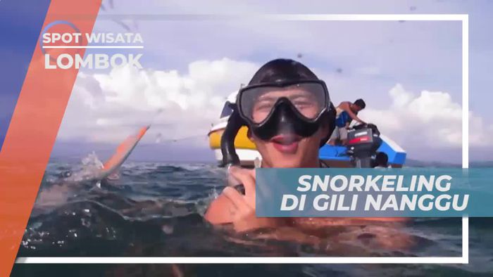 Snorkeling Menikmati Keindahan Bawah Laut Gili Nanggu Lombok