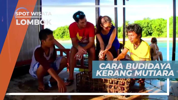 Mellihat Dari Dekat Kerang Mutiara di Gili Nanggu Lombok