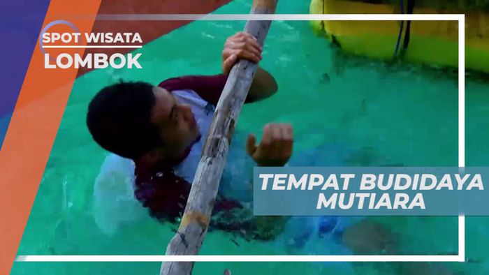 Mencoba Memancing Mutiara di Tempat Budidaya Gili Nanggu Lombok