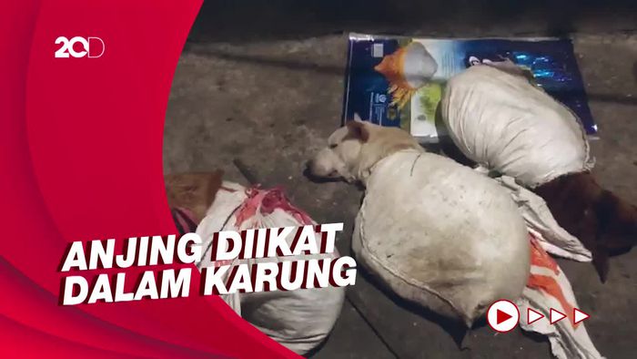 Detik-detik Polisi Gerebek Rumah Jagal Anjing di Surabaya