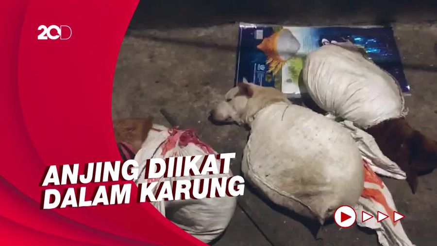 Detik-detik Polisi Gerebek Rumah Jagal Anjing di Surabaya