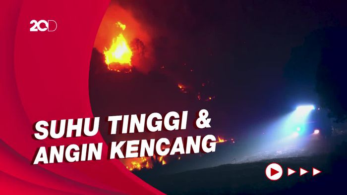 Kobaran Api di Portugal Meluas Akibat Dilanda Gelombang Panas