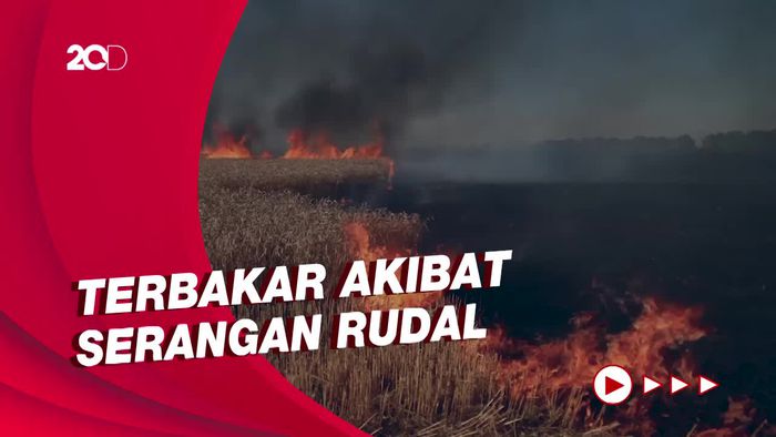 Ladang Gandum Siap Panen di Kharkiv Terbakar, Rusia Dicurigai