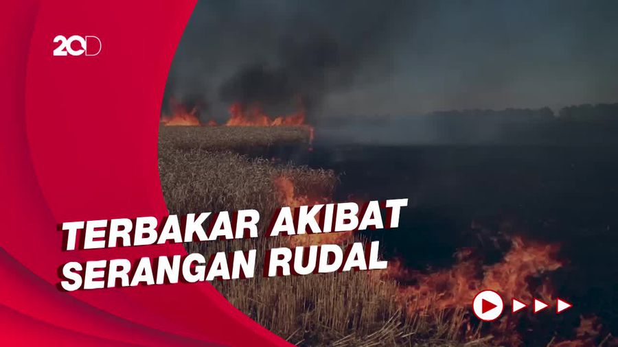 Ladang Gandum Siap Panen di Kharkiv Terbakar, Rusia Dicurigai