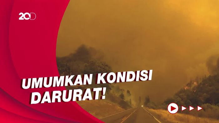 Kebakaran Bak Neraka di Hutan Nasional California