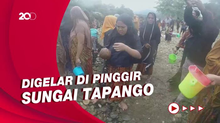 Keseruan Tradisi Massorong Lopi dan Mendio Toke Battang di Polman
