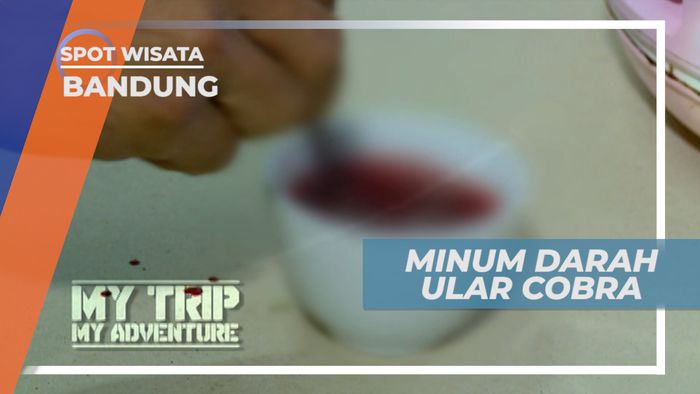 Mengintip Indahnya Surga Bawah Laut di Pulau Saronde, Gorontalo