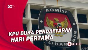 Harapan Sejumlah Parpol saat Daftar Pemilu di KPU