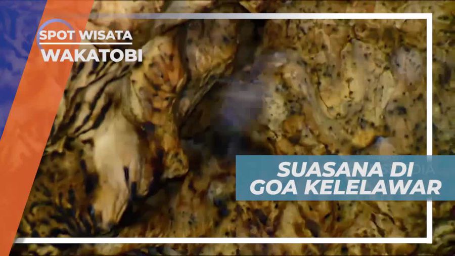 Merasakan Langsung Suasana di Dalam Goa Kelelawar Wakatobi