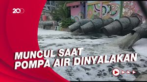 Busa Setinggi 2 Meter Muncul di Sungai Mulyorejo, Ini Penyebabnya Busa Setinggi 2 Meter Muncul di Sungai Mulyorejo, Ini Penyebabnya