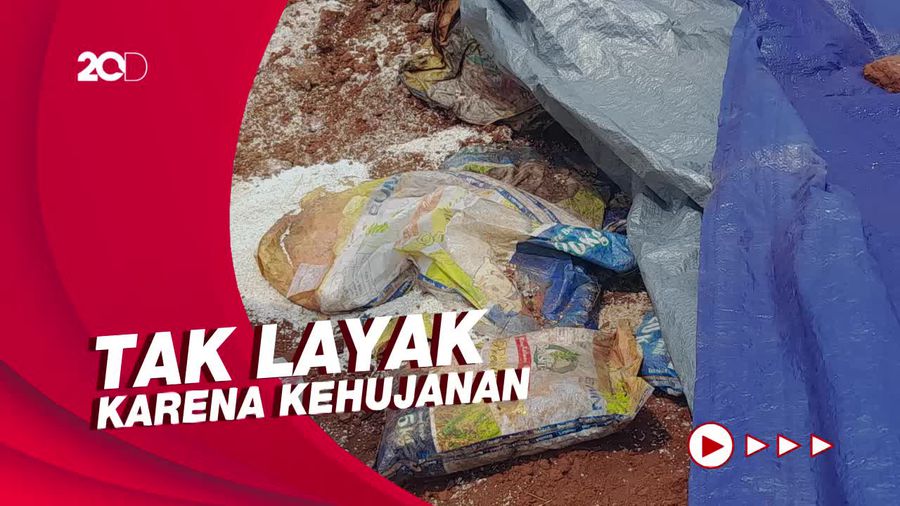 Risma Sebut Beras Dikubur di Depok Sudah Diganti Sesuai Perjanjian