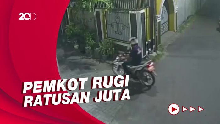 Aksi OTK di Makassar Tebang Puluhan Pohon Palem Sembarangan!