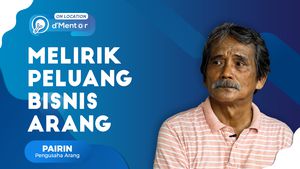 Peluang Besar Bisnis Arang Batok Kelapa