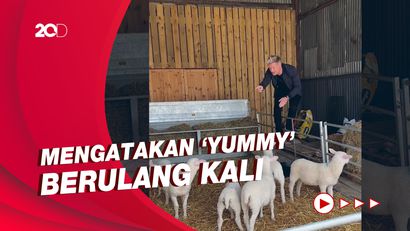 Gordon Ramsay Dihujat soal Aksinya Pilih Domba untuk Disembelih