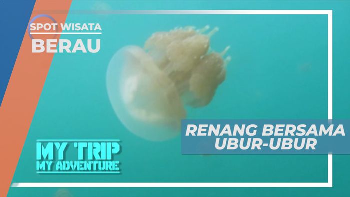 Berenang Bersama Ubur-ubur di Pulau Kakaban, Berau