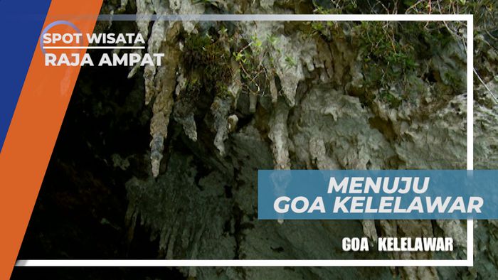 Goa Kelelawar, Tempat Tinggal Sang Binatang Malam, Raja Ampat