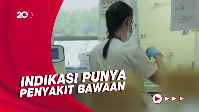 Respons WHO Terkait Laporan Kasus Kematian Akibat Cacar Monyet