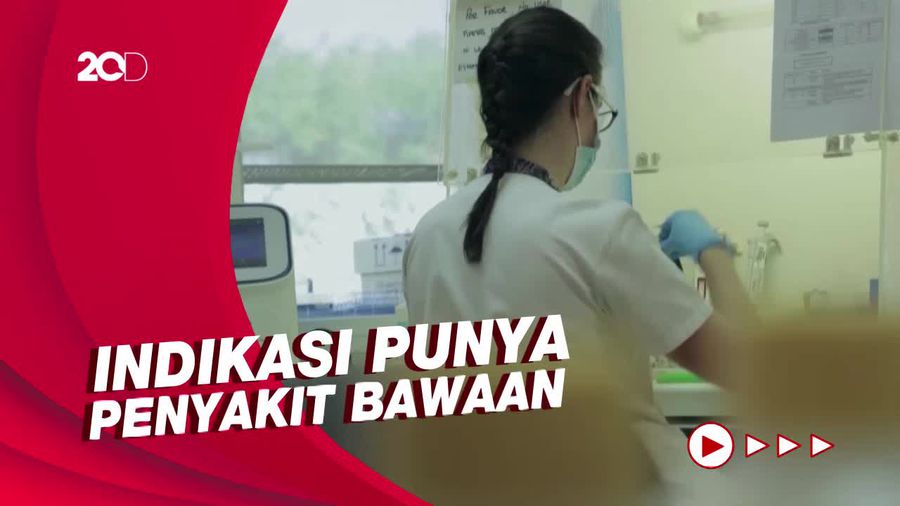 Respons WHO Terkait Laporan Kasus Kematian Akibat Cacar Monyet