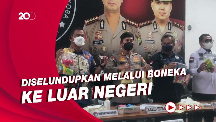Selundupkan Biji Kokain Hasil Tanam Sendiri, Pria Paruh Baya Ditangkap Polisi