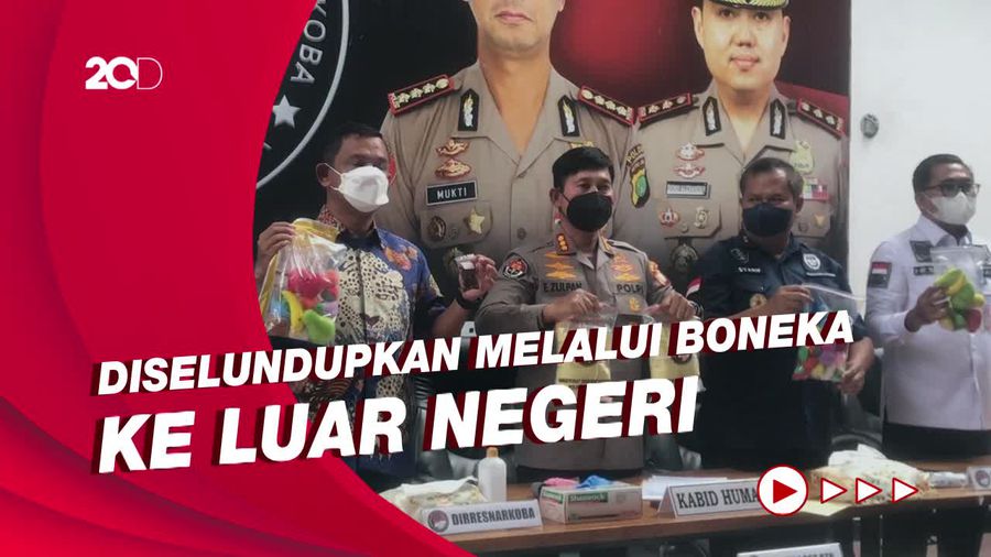 Selundupkan Biji Kokain Hasil Tanam Sendiri, Pria Paruh Baya Ditangkap Polisi