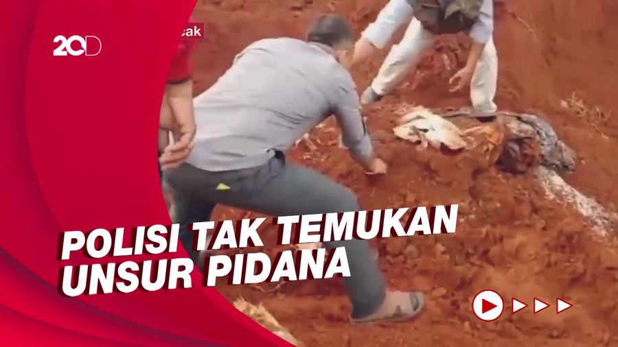 Geger Beras Bansos Dikubur: Penyelidikan Disetop-Ancaman Hotman Paris