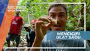Ulat Sagu, Mencoba Sensasi Unik Kuliner Ekstrim Khas Indonesia Timur, Raja Ampat