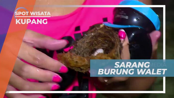 Melihat Sarang Burung Walet di Langit-langit Goa Kristal Kupang