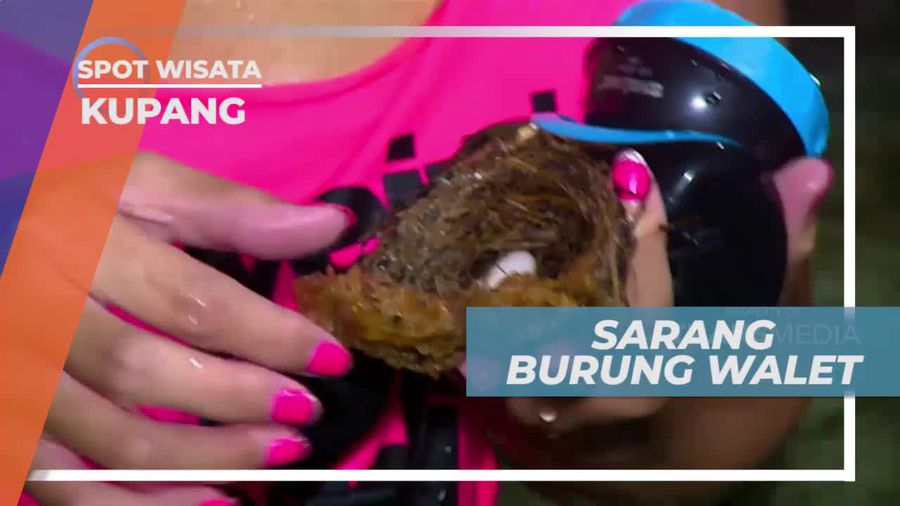 Melihat Sarang Burung Walet di Langit-langit Goa Kristal Kupang