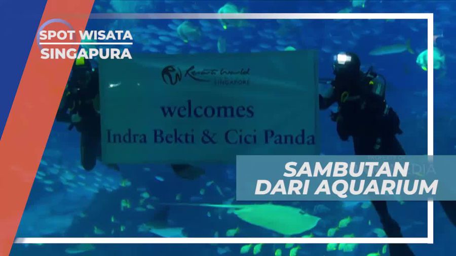Sambutan Ramah Saat Berkunjung ke South East Asia Aquarium Singapura