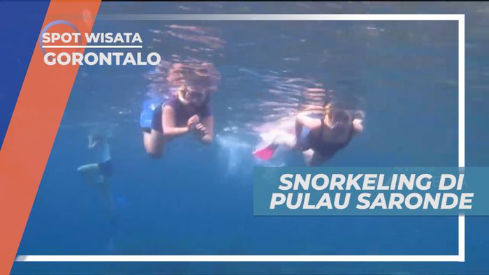 Mengintip Indahnya Pemandangan Dasar Laut di Pulau Saronde, Gorontalo