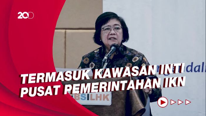 53 Ribu Kawasan Hutan Negara Dikonversi untuk Peningkatan Produktivitas Lahan