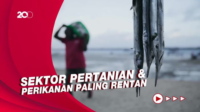 BMKG Beberkan Strategi Hadapi Perubahan Iklim, Perkuat Ketahanan Pangan Nasional
