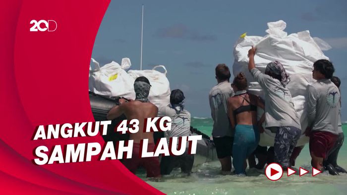 Ekspedisi Pencinta Lingkungan Berburu Jaring Hantu di Laut Hawaii 