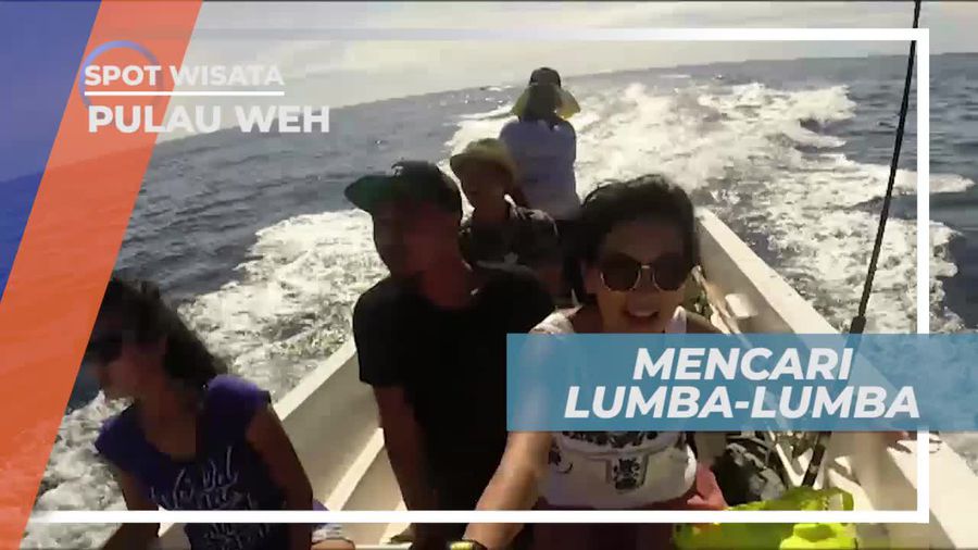Mencari Spot Untuk Bertemu Lumba-lumba di Pulau Weh Aceh