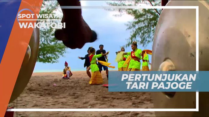 Kemeriahan Pertunjukan Tari Pajoge Wakatobi