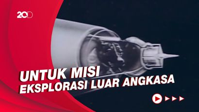 Bukan Hanya Manusia, 5 Hewan Ini Juga Pernah Terbang ke Luar Angkasa 