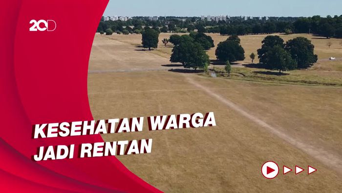 Panas Esktrem Melanda Inggris dan Wales, Begini Kondisinya!