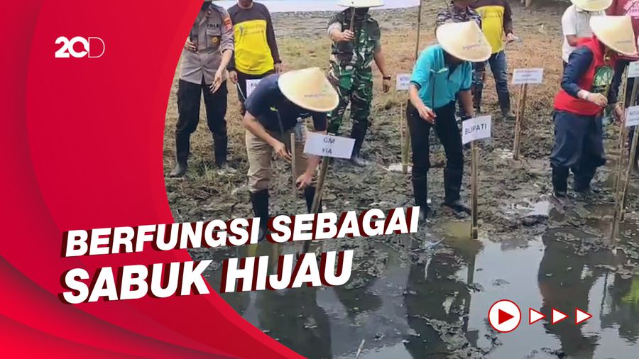 Penanaman 5 Ribu Pohon di Bandara YIA untuk Antisipasi Bencana
