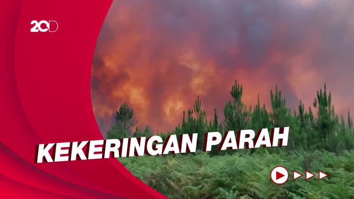 Gelombang Panas Melanda Eropa, Picu Kebakaran Hutan di Prancis