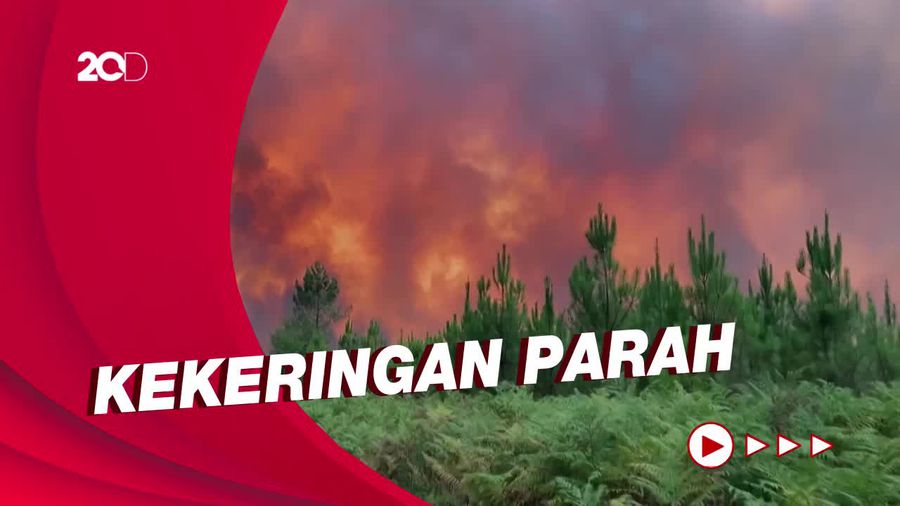 Gelombang Panas Melanda Eropa, Picu Kebakaran Hutan di Prancis