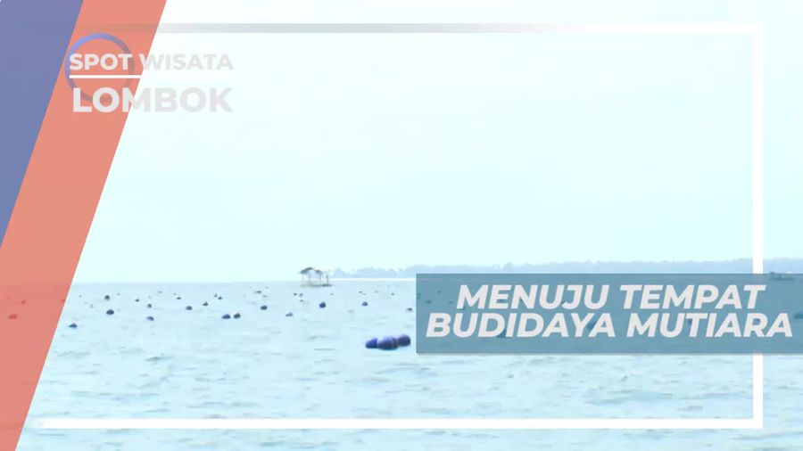 Melihat Dari Dekat Budidaya Mutiara di Lombok