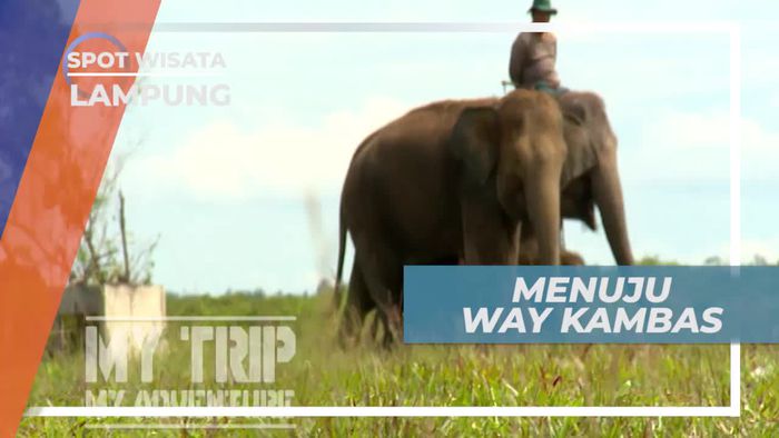 Perjalanan Menuju Way Kambas Lampung
