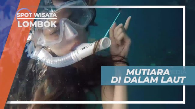 Digantung Sesuai Tempat Tinggal, Cara Membuat Kerang Mutiara Tidak Stress, Lombok